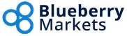 Blueberry Logo